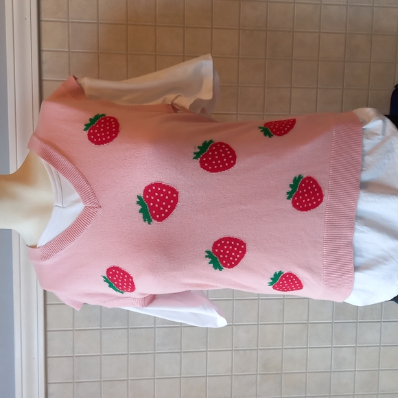 Hot Topic Sweaters - 💕Host Pick 💕 Hot Topic Strawberry vest